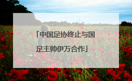 中国足协终止与国足主帅伊万合作
