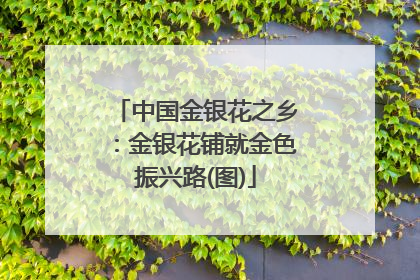 中国金银花之乡：金银花铺就金色振兴路(图)