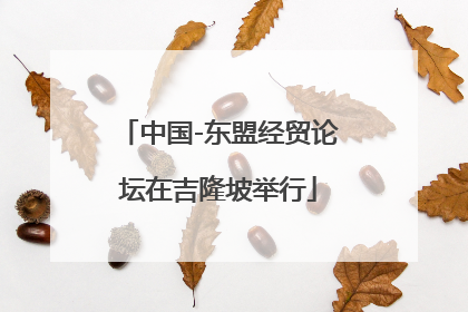 中国-东盟经贸论坛在吉隆坡举行