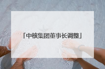 中核集团董事长调整