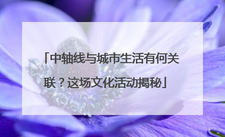 中轴线与城市生活有何关联？这场文化活动揭秘