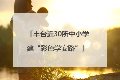 丰台近30所中小学建“彩色学安路”