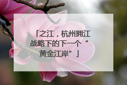 之江，杭州拥江战略下的下一个“黄金江岸”