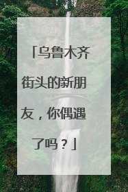 乌鲁木齐街头的新朋友，你偶遇了吗？