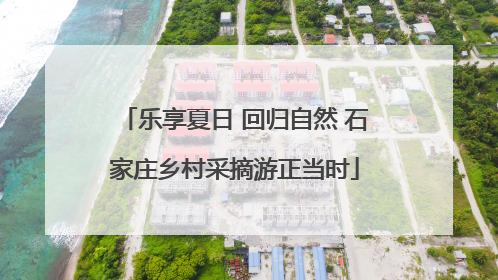 乐享夏日 回归自然 石家庄乡村采摘游正当时