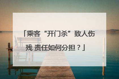 乘客“开门杀”致人伤残 责任如何分担？