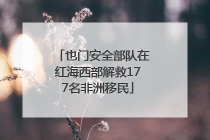 也门安全部队在红海西部解救177名非洲移民