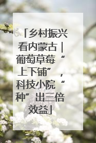 乡村振兴看内蒙古｜葡萄草莓“上下铺”，科技小院“种”出三倍效益