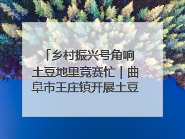 乡村振兴号角响 土豆地里竞赛忙｜曲阜市王庄镇开展土豆收获劳动竞赛