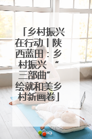 乡村振兴在行动丨陕西蓝田：乡村振兴 “三部曲” 绘就和美乡村新画卷