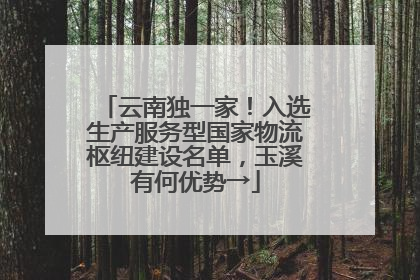 云南独一家！入选生产服务型国家物流枢纽建设名单，玉溪有何优势→