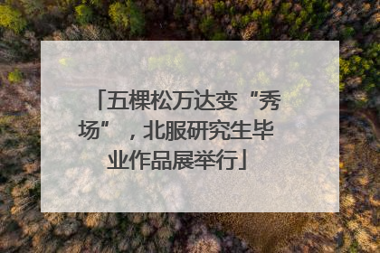 五棵松万达变“秀场”，北服研究生毕业作品展举行