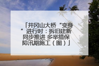 井冈山大桥“变身”进行时：拆旧建新同步推进 多举措保障汛期施工（图）