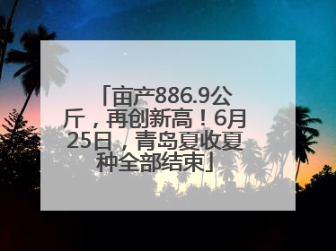 亩产886.9公斤，再创新高！6月25日，青岛夏收夏种全部结束