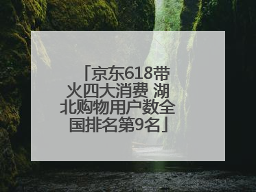 京东618带火四大消费 湖北购物用户数全国排名第9名