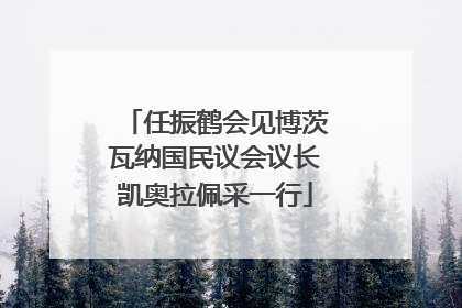 任振鹤会见博茨瓦纳国民议会议长凯奥拉佩采一行