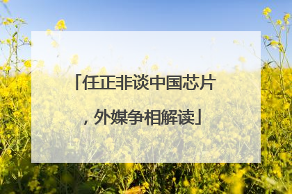 任正非谈中国芯片，外媒争相解读