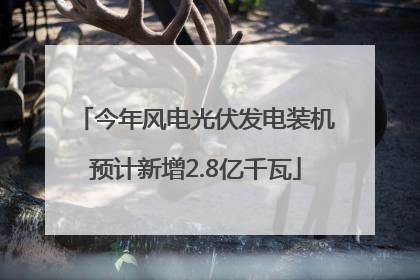 今年风电光伏发电装机预计新增2.8亿千瓦