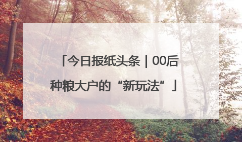 今日报纸头条｜00后种粮大户的“新玩法”