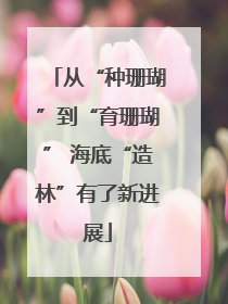 从“种珊瑚”到“育珊瑚” 海底“造林”有了新进展