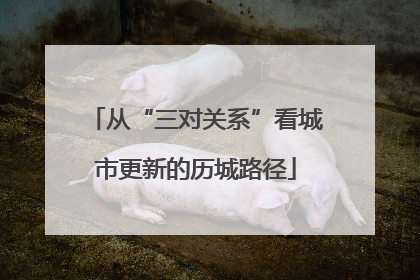 从“三对关系”看城市更新的历城路径