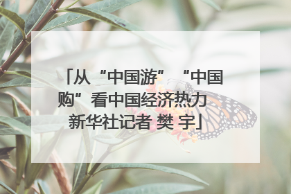 从“中国游”“中国购”看中国经济热力 新华社记者 樊 宇