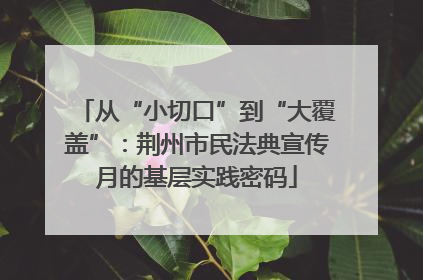 从“小切口”到“大覆盖”：荆州市民法典宣传月的基层实践密码
