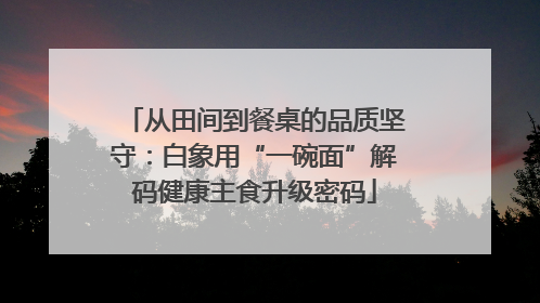 从田间到餐桌的品质坚守：白象用“一碗面”解码健康主食升级密码