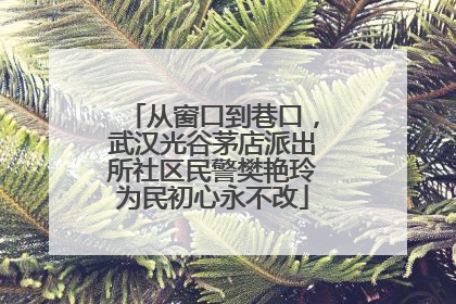 从窗口到巷口，武汉光谷茅店派出所社区民警樊艳玲为民初心永不改