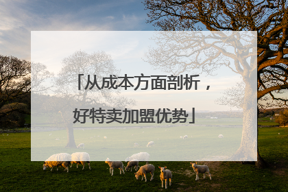 从成本方面剖析，好特卖加盟优势