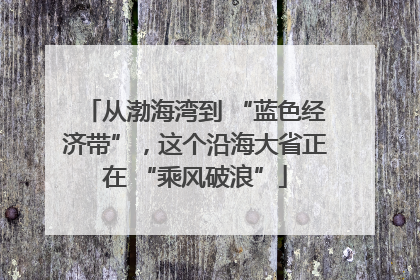 从渤海湾到 “蓝色经济带”，这个沿海大省正在 “乘风破浪”
