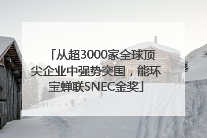 从超3000家全球顶尖企业中强势突围，能环宝蝉联SNEC金奖