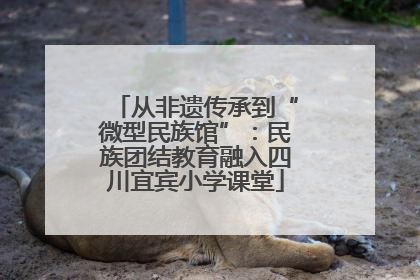 从非遗传承到“微型民族馆”：民族团结教育融入四川宜宾小学课堂