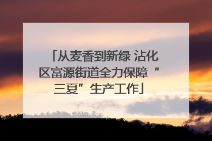 从麦香到新绿 沾化区富源街道全力保障“三夏”生产工作