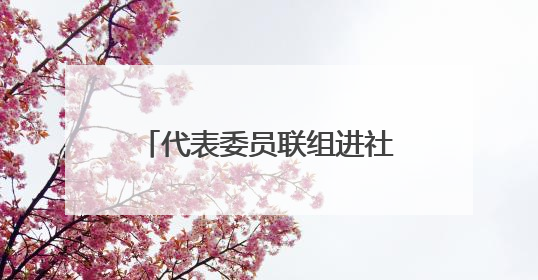 代表委员联组进社区，为银发群体幸福生活“把脉开方”