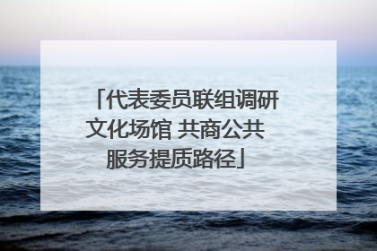 代表委员联组调研文化场馆 共商公共服务提质路径