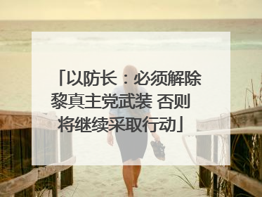 以防长：必须解除黎真主党武装 否则将继续采取行动