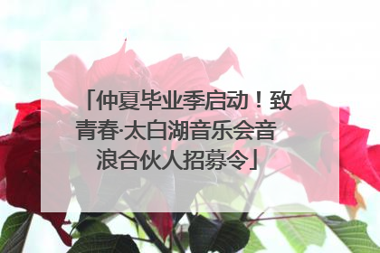 仲夏毕业季启动！致青春·太白湖音乐会音浪合伙人招募令