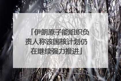 伊朗原子能组织负责人称该国核计划仍在继续强力推进