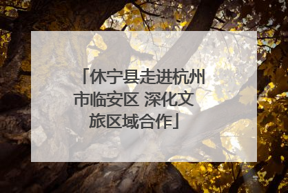 休宁县走进杭州市临安区 深化文旅区域合作
