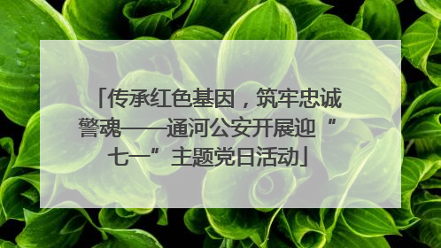 传承红色基因，筑牢忠诚警魂——通河公安开展迎“七一”主题党日活动