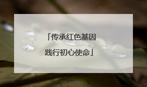 传承红色基因 践行初心使命