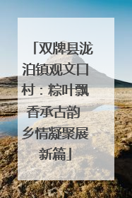 双牌县泷泊镇观文口村：粽叶飘香承古韵 乡情凝聚展新篇