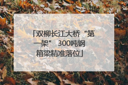 双柳长江大桥“第一架” 300吨钢箱梁精准落位