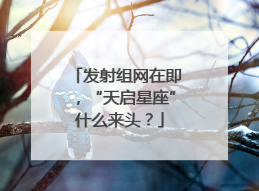 发射组网在即，“天启星座”什么来头？