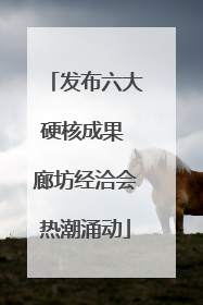 发布六大硬核成果 廊坊经洽会热潮涌动