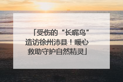 受伤的“长嘴鸟”造访徐州沛县！暖心救助守护自然精灵