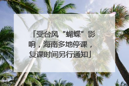 受台风“蝴蝶”影响，海南多地停课，复课时间另行通知