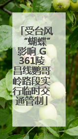 受台风“蝴蝶”影响 G361陵昌线鹦哥岭路段实行临时交通管制