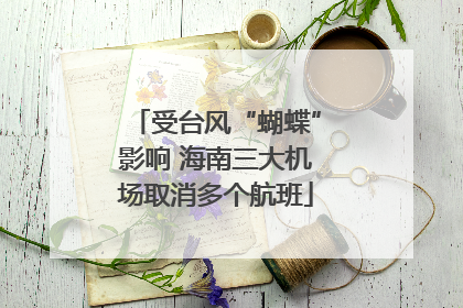 受台风“蝴蝶”影响 海南三大机场取消多个航班